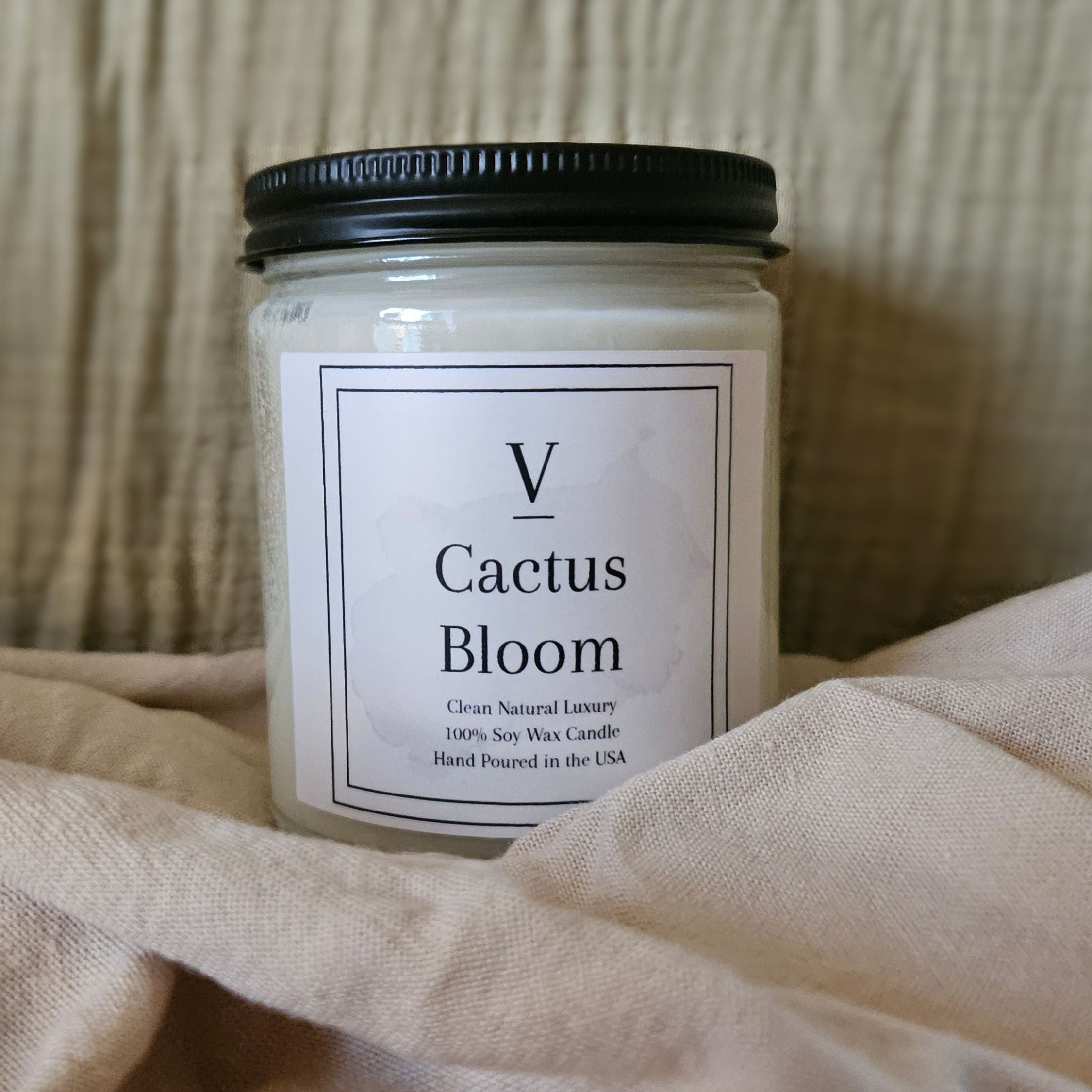 Cactus Bloom