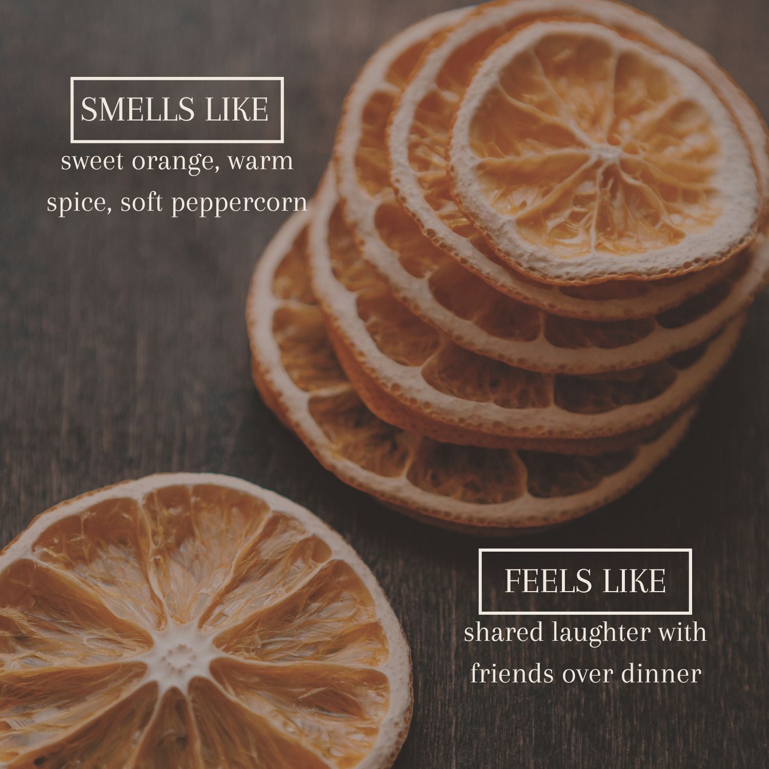 Fresh citrus spice candle creating a clean modern home atmosphere